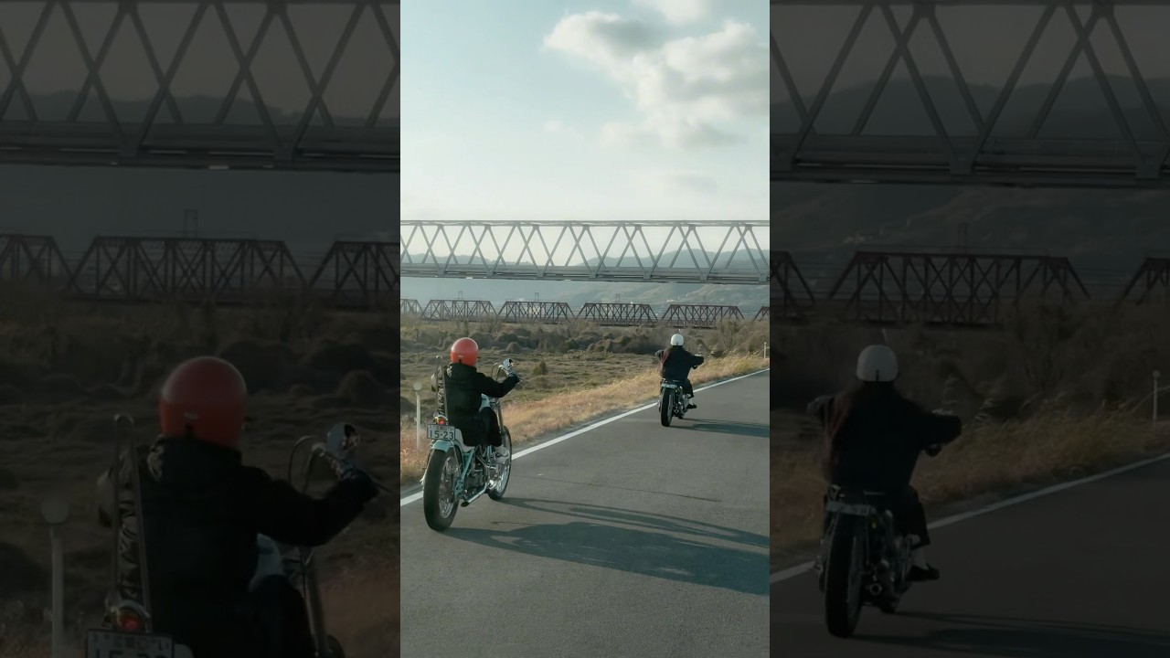 Shovelhead× Panhead