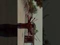Salaar Please I Kindly Request Dialogue Salaar Salaarofficialtrailer Creator2creator Jeevandhee15