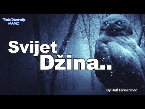 Svijet Džina...