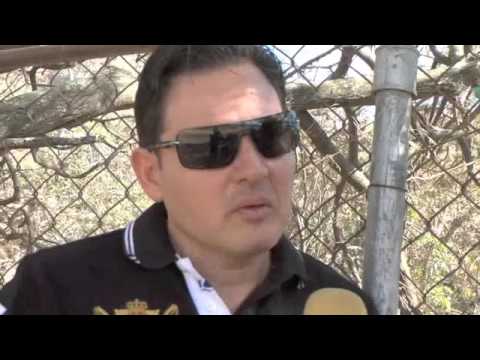 AFICION HIPICA DOMINGO 21 DE FEBRERO 2016