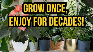 Grow These Indoor Plants Once—Enjoy Them for Years!