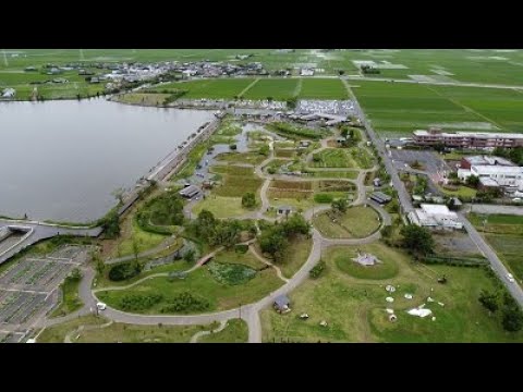 【空撮映像】水郷佐原あやめパーク2021年6月