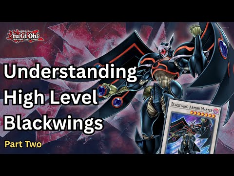 Understanding Blackwings at a High Level ft ProStorm (Part Two) | Yugioh Edison Format