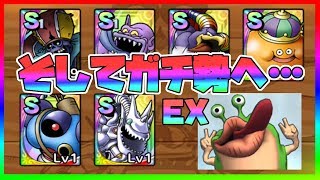 【ドラクエタクト】ぱりんこ食べたら歯が折れた軟弱実況者【生放送】