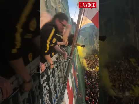 🎭🍊 La Pantera Nera conquista la Battaglia delle Arance 2025! 🏆