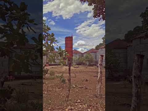 GRANERO SAUCE LEÓN NICARAGUA #parati #recuerdos  #viral