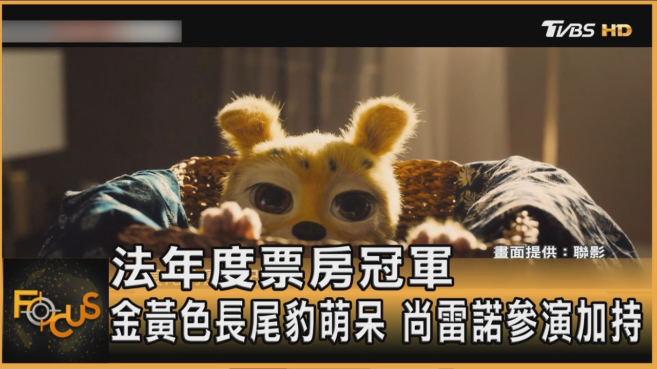 FOCUS全球新聞/法年度票房冠軍 金黃色長尾豹萌呆 尚雷諾參演加持