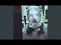 BewareOfDog