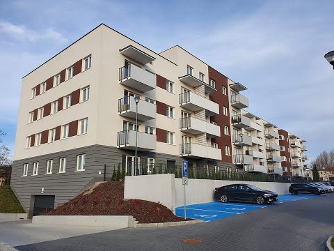 W. M. Expert. Wojciech Mikołajczyk - video