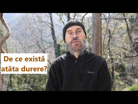 De ce există atâta durere? - părintele Teologos
