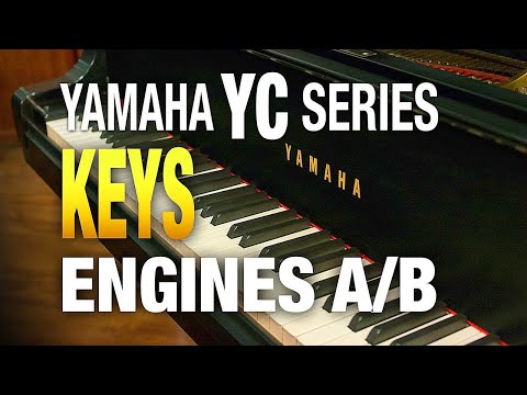 Yamaha YC Series Keyboard Engines A and B Layers and Splits.