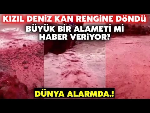 Kızıl Deniz Kan Kırmızı Rengine Büründü.! Dünya Alarma Geçti..Hürmüz Boğasında Neler Oluyor? İZLE