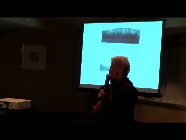 Vídeo relacionado con Gao Xingjian and Transmedia Aesthetics (Cambria Sinophone World Series) (English Edition)
