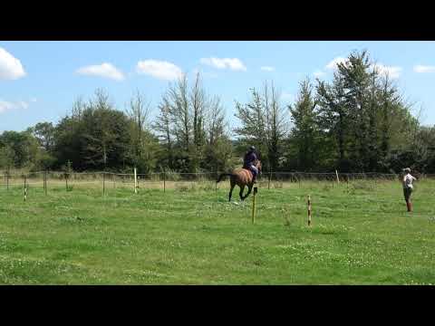 2021.08.14 - Canter poles lesson with Amber (Sony FDR AX53 4k + Pixio) (8)