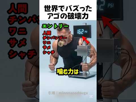 動物のアゴの力を測る #shorts