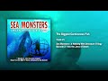 21 The Biggest Carnivorous Fish Sea Monsters Official Soundtrack