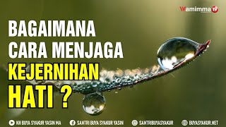 Download lagu Bagaimana Cara Menjaga Kejernihan Hati ? Buya Syakur mp3 Download lagu Bagaimana Cara Menjaga Kejernihan Hati ? Buya Syakur mp3