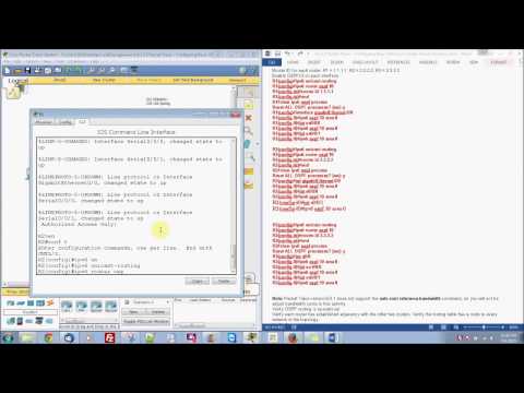 8.3.3.5 Packet Tracer V5