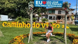 CAMINHO DO VINHO EM SÃO JOSÉ DOS PINHAIS - O QUE FAZER, CONHECER - ROTA DO VINHO - PERTO DE CURITIBA