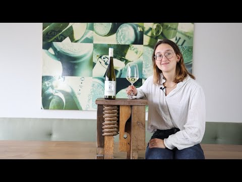 Wein erklärt: Bassermann-Jordan Riesling Auf der Mauer Pfalz