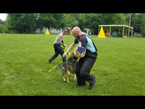 Logan z Jukasu - IPO Protection @ 28 months