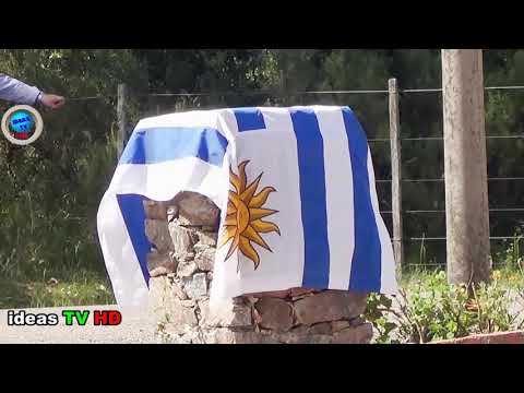 INFO IDEAS TV-HD-Poblado Aramendia - 8 Noviembre 2021 - Dia del Lavallejino