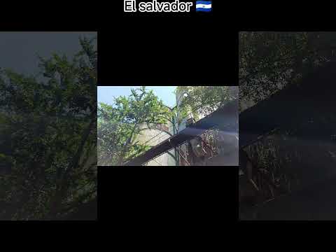 Antiguos graneros del instituto regulador de abastecimiento IRA en el salvador 🇸🇻 San Martin