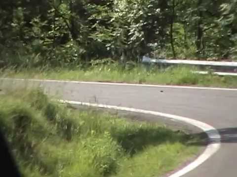 rally 40° coppa d oro