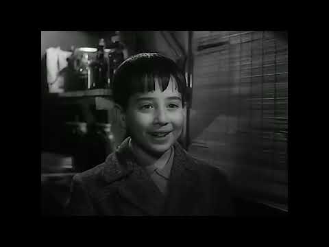 Totò Marcellino e un gatto messo in castigo