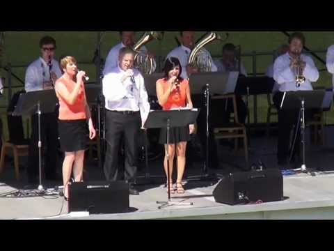 Dechová hudba Záhořané festival DH ve Zdounkách 2013