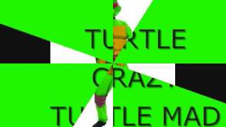 TURTLE CRAZY