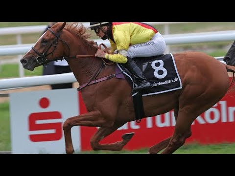 149th Wettstar Grosser Preis Von Baden 2021 (G1) | Torquator Tasso | Baden-Baden, Germany |