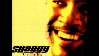 Shaggy - Leave It To Me