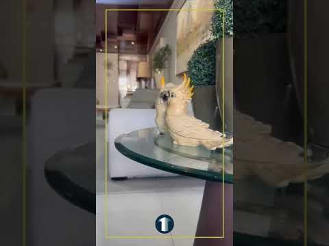 Apartamento com 4 Quartos (3 Suítes), 197m² – Tambaú, João Pessoa/PB