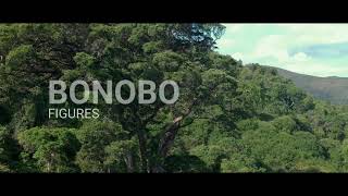 Bonobo - Figures (Salt River Natures Valley)