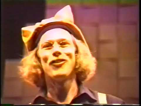 The Flying Karamazov Brothers Video Scrapbook