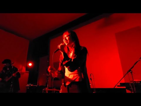 REGOTHERESHEGO LIVE @PHILAMOCA PT1 - Cinematic, Beg For It, Finer Things