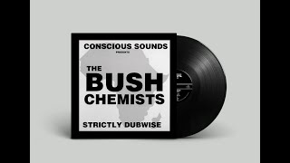 The Bush Chemists - Strictly Dubwise - Partial LP-   PRTLLP002