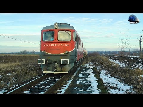 LDE2100 60-0460-5 & Marfar TFG Freight Train in Halta Cadia Halt [Winter Edition] - 16 January 2019