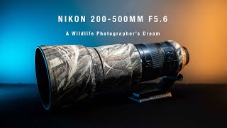 Video thumbnail for Is the Nikon 200-500mm F5.6 Lens still relevant in 2024? by Terence Szeto