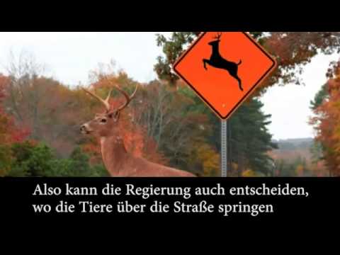 Wildwechsel-Schilder in den USA- So dumm kann man nicht sein!!!!
