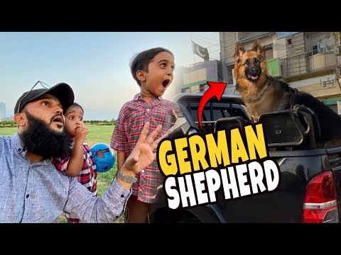 Ali and Hasan saw a German Shepherd on the way 😱 (Fahad Bhai Official)