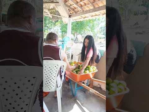 interior de santa Maria do Pará