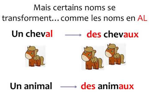 Le pluriel des noms CE2