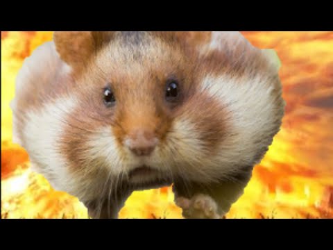 Gruftkönige Schnellschlachten-Training - Total War: Warhammer 2