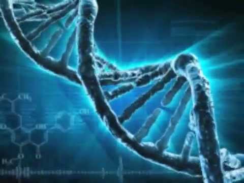 How does DNA Testing work?