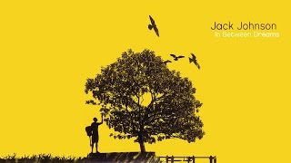 Jack Johnson - Never Know Lyrics