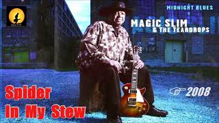 Magic Slim &amp; The Teardrops - Spider In My Stew (Kostas A~171)
