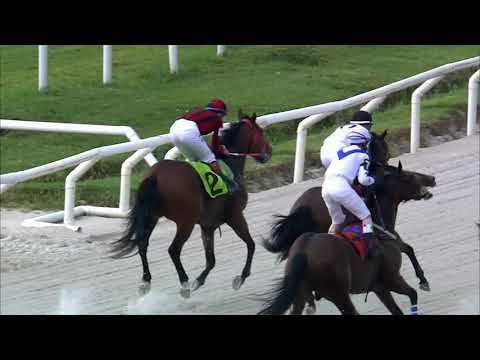 201018 c04 BLACK KING