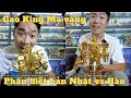 Phân Biệt DX Gao King Mạ Vàng Bản Nhật Bản Vs Hàn Quốc Limited 30 Khoagold Gaoranger